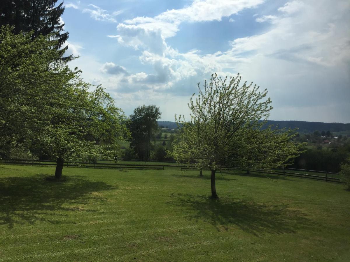 Pension Berghof Schönsee 外观 照片